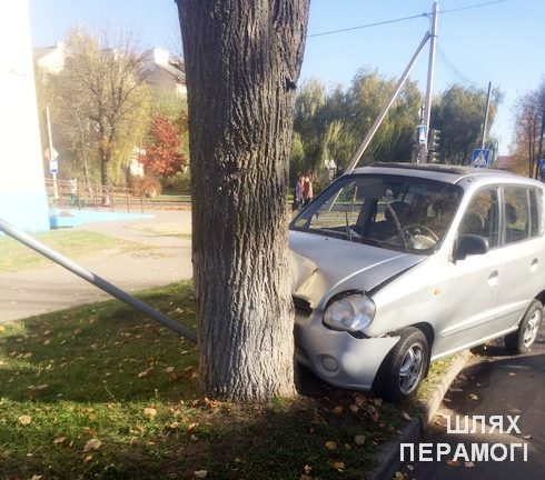 В Вилейке женщина отвлеклась от дороги и врезалась в дерево