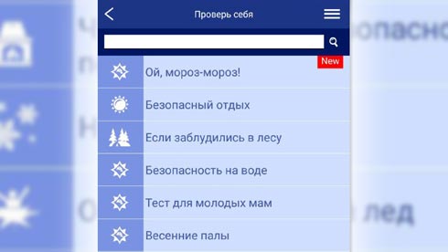 В мобильном приложении МЧС вышел тест «Ой, мороз-мороз»