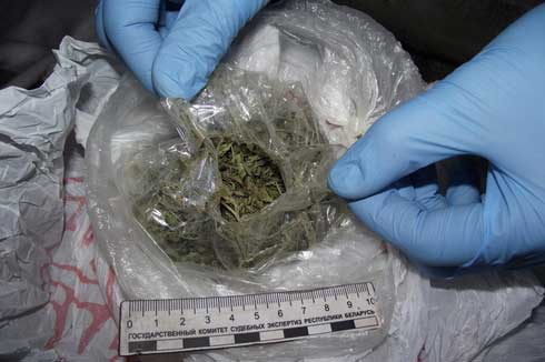 Сотрудники Молодечненского РОВД задержали жителя райцентра, подозреваемого в хранении и сбыте марихуаны Сотрудники Молодечненского РОВД задержали жителя райцентра, подозреваемого в хранении и сбыте марихуаны