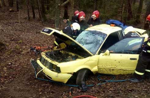 В Слонимском районе «Ауди» столкнулось с деревом: работники МЧС спасли пассажира
