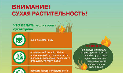 Внимание! Сухая растительность