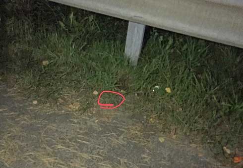 Двое мужчин обвиняются в незаконном обороте психотропов