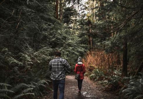 В Слуцком районе муж оставил жену в лесу и пошел домой: заблудившуюся женщину нашли спасатели