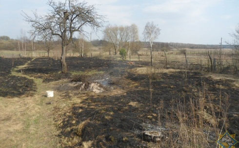 В Жлобинском районе дедушка тушил траву и погиб В Жлобинском районе дедушка тушил траву и погиб