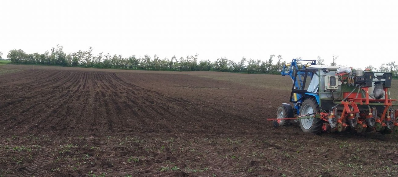 Суд Вилейского района вынес приговор руководителю сельхозпредприятия за приписки площадей посевов