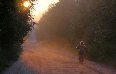 В Пуховичском районе девочка поехала на велосипеде в лес и заблудилась: понадобилась помощь спасателей В Пуховичском районе девочка поехала на велосипеде в лес и заблудилась: понадобилась помощь спасателей