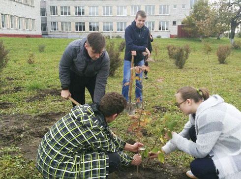 У Вілейскім раёне прайшла экалагічная акцыя "Дрэва замест букета"