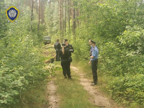 В Пуховичском районе дерево упало на 15-летнюю девочку. От полученных травм она скончалась