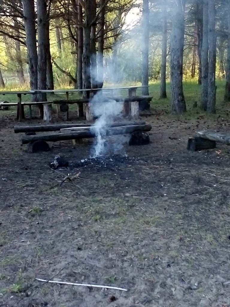 Пожарная безопасность в природных экосистемах. В текущем году на Вилейщине произошло 55 загораний в природных экосистемах Пожарная безопасность в природных экосистемах. В текущем году на Вилейщине произошло 55 загораний в природных экосистемах