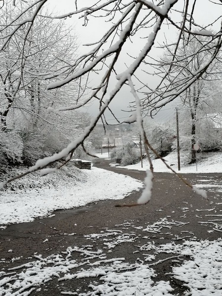 Вілейка развітваецца з восенню снегам (фота)