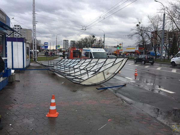 163 случая падения деревьев, 28 поврежденных автомобилей: о последствиях непогоды 29 декабря