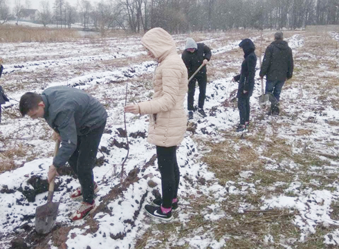 В Любани педагоги открыли сквер "Победы", где высадили около 100 деревьев