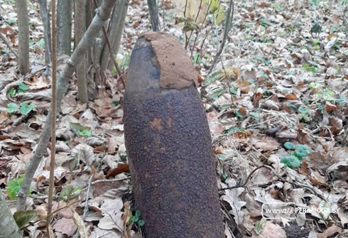 В Вилейском районе вблизи ж/д дороги найден артиллерийский снаряд времен ВОВ