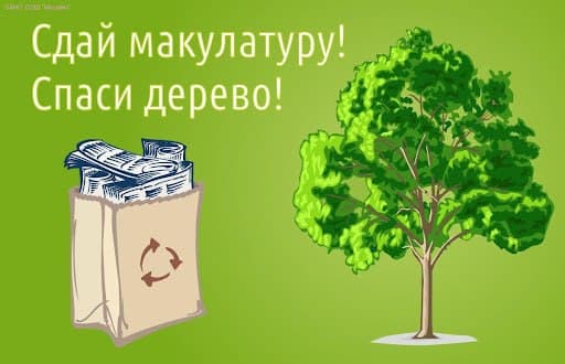 В Минской области проходит конкурс «Сдай макулатуру – спаси дерево!»