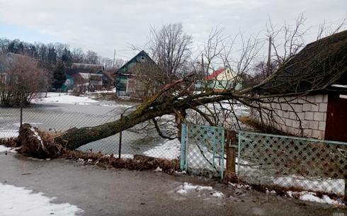 МЧС: о последствиях непогоды в Минской области