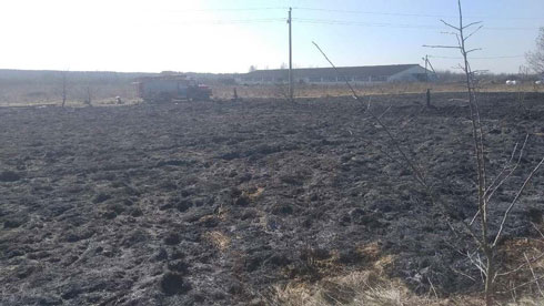 В Вилейском районе в этом году зафиксировано уже 20 загораний сухой растительности