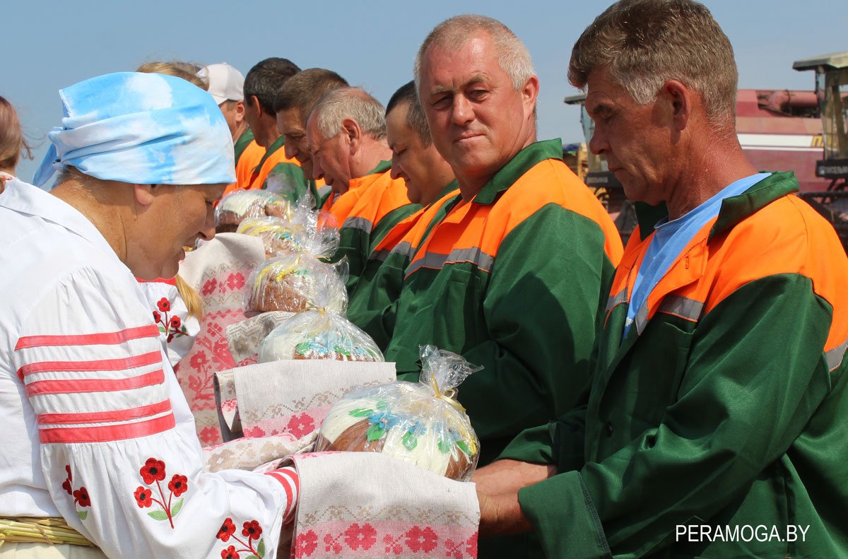 Обряд "Зажинки" провели в Лыцевичах