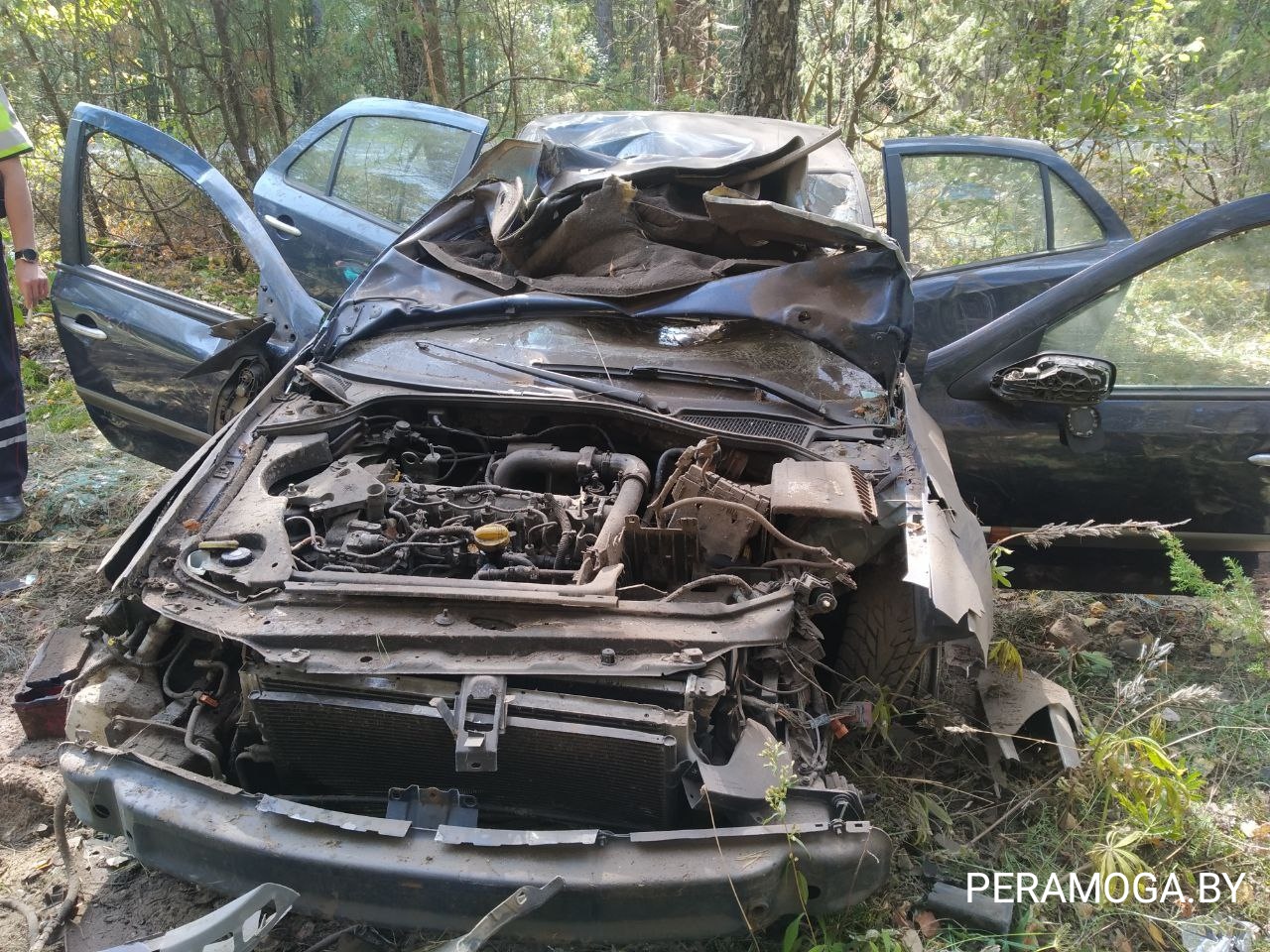 В Вилейском районе водитель потерял сознание во время движения. Пострадали  пассажиры