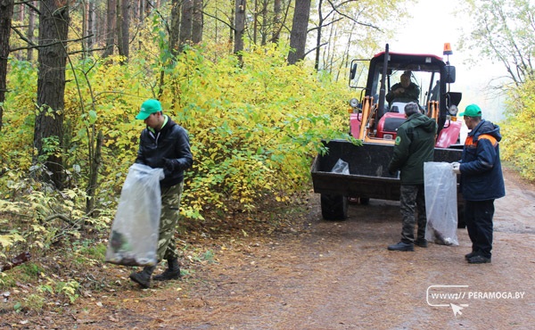 За два часа собрали более 50 кг бытового мусора. Вилейский опытный лесхоз участвует в акции