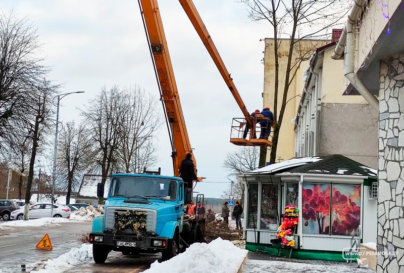 Зачем спилили деревья возле Вилейской СДЮШОР?