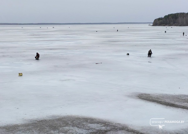 Картина не для слабонервных. Лед слабый, а рыбаков на Вилейском водохранилище пруд пруди