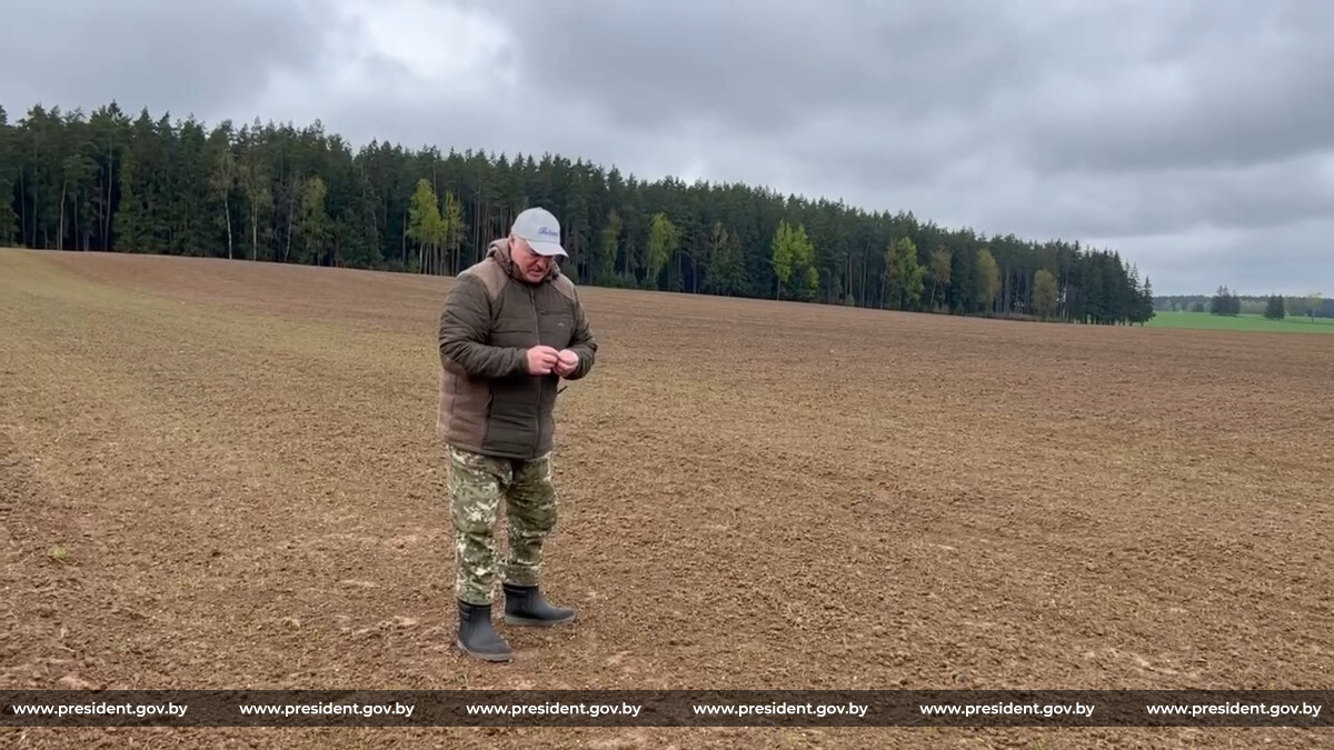 Александр Лукашенко проинспектировал поля в Витебской и Могилевской областях