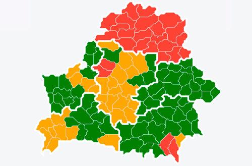 В Вилейском районе сняты ограничения на посещение лесов