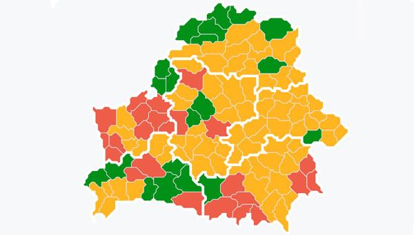 Запреты и ограничения на посещение лесов действуют в 98 районах Беларуси