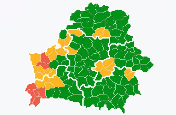 Запреты и ограничения на посещение лесов введены в 31 районе Беларуси