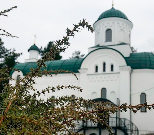 Расписание богослужений на Рождество Христово в храмах Вилейки