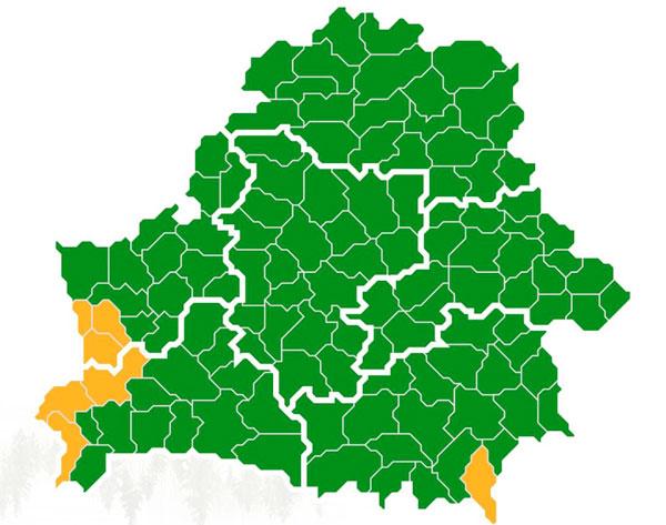 Ограничения на посещение лесов продолжают действовать в семи районах Беларуси