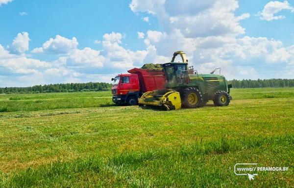 Массовая косовица развернется в Вилейском районе ближе к концу мая