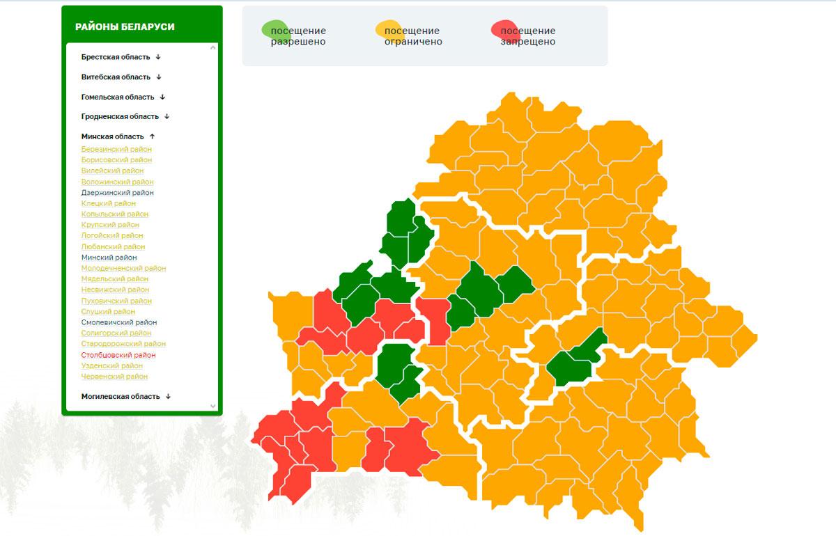 Запреты и ограничения на посещение лесов введены в 115 районах Беларуси