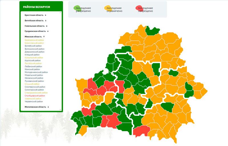 В Беларуси уменьшилось количество запретов и ограничений на посещение лесов