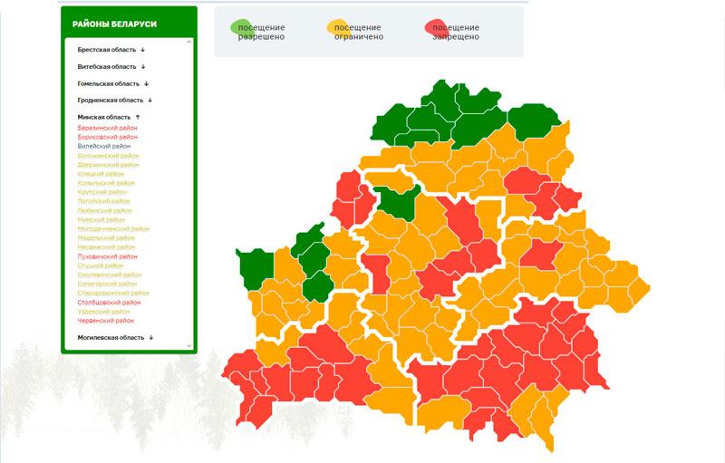В 12 районах Беларуси разрешено посещение лесов