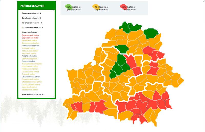 В восьми районах Беларуси разрешено посещение лесов