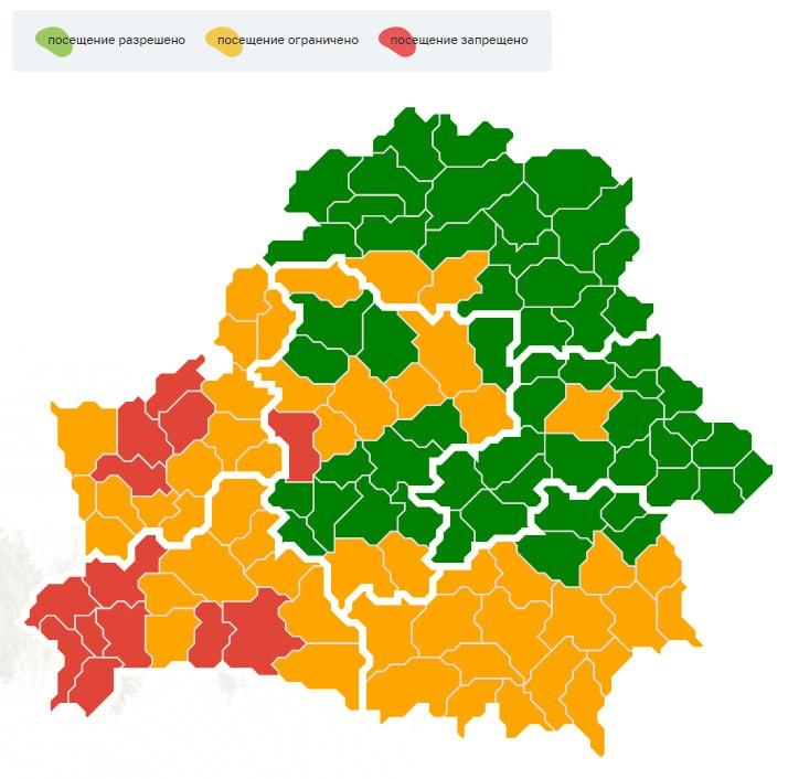 В Минской области ограничения на посещение лесов действуют в девяти районах