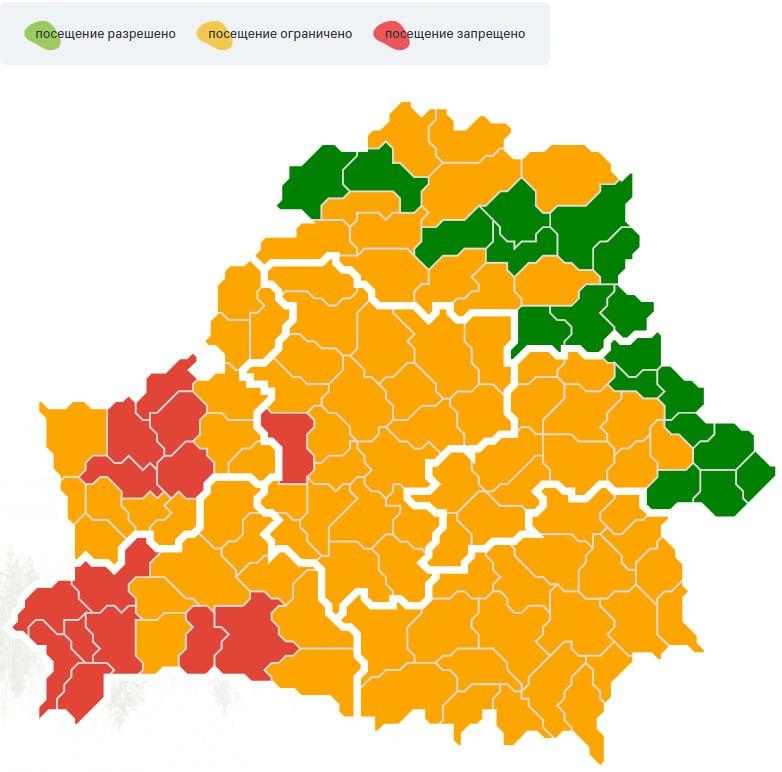 Запреты и ограничения на посещение лесов введены в 100 районах Беларуси