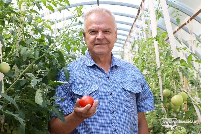 Побывали в школе, которая удивляет клумбами, выращивает вкусные помидоры и уже готова к новому учебному году 