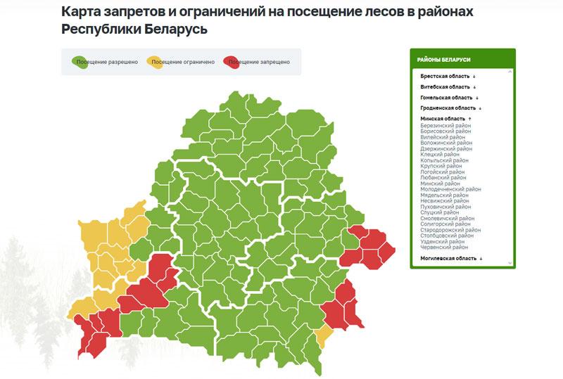 В Минской области свободно посещать леса можно во всех районах