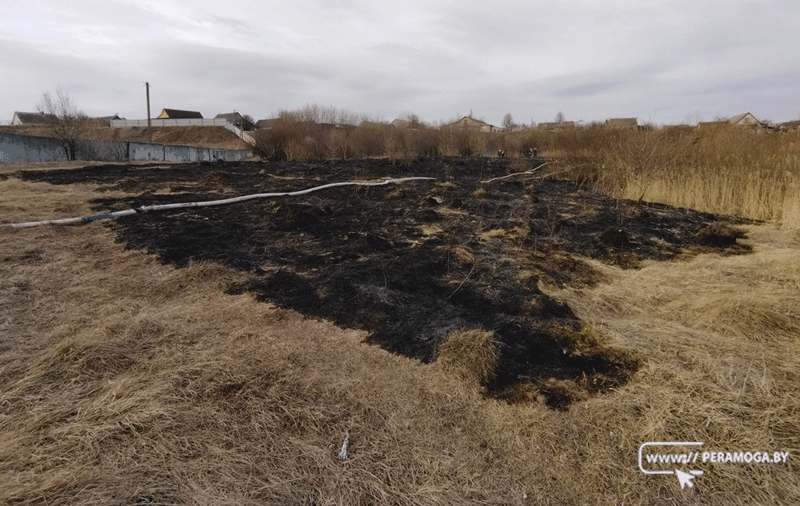 В Вилейском районе в 2024 году зарегистрировано 12 загораний в природных экосистемах