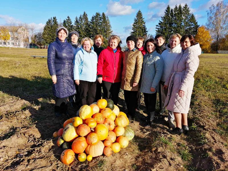 Урожай-2024 на школьном огороде Долгиновской средней школы