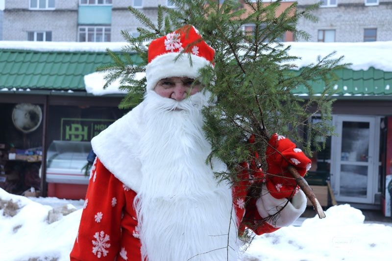 Елочные базары начнутся в Вилейке с 20 декабря. Узнали, сколько будут стоить главные атрибуты праздника