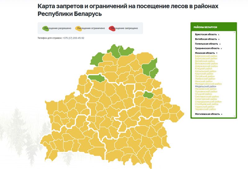 В 111 районах Беларуси введены ограничения на посещение лесов