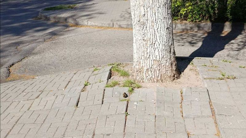 Без бар’ераў: дзе пара прымаць меры?