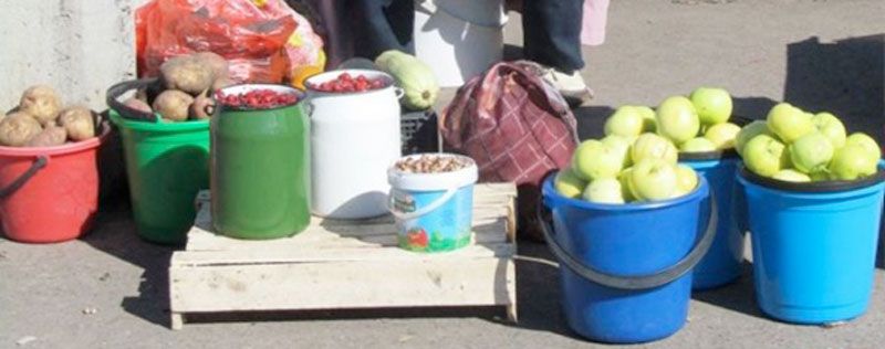 Если вишня уродит…