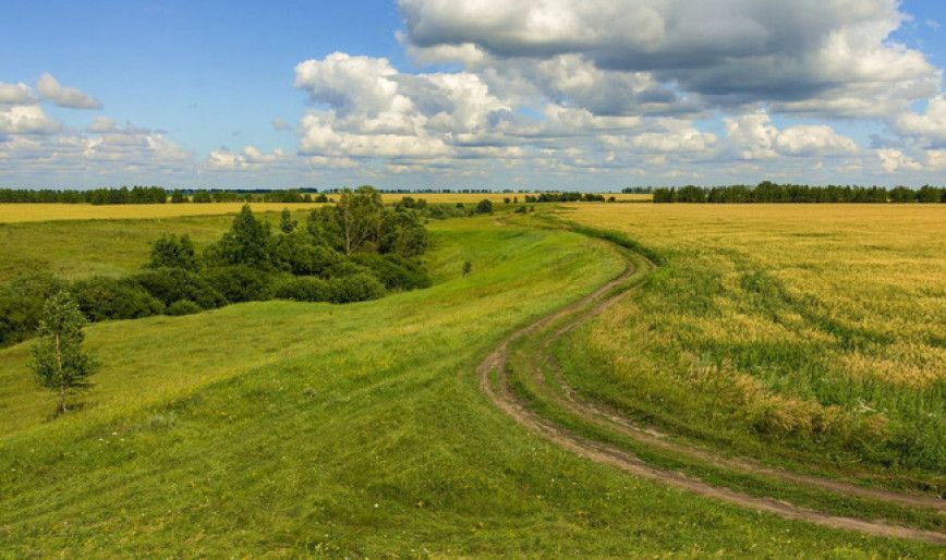 Белгидромет: запасы влаги для роста и развития сельхозкультур на большинстве площадей хорошие