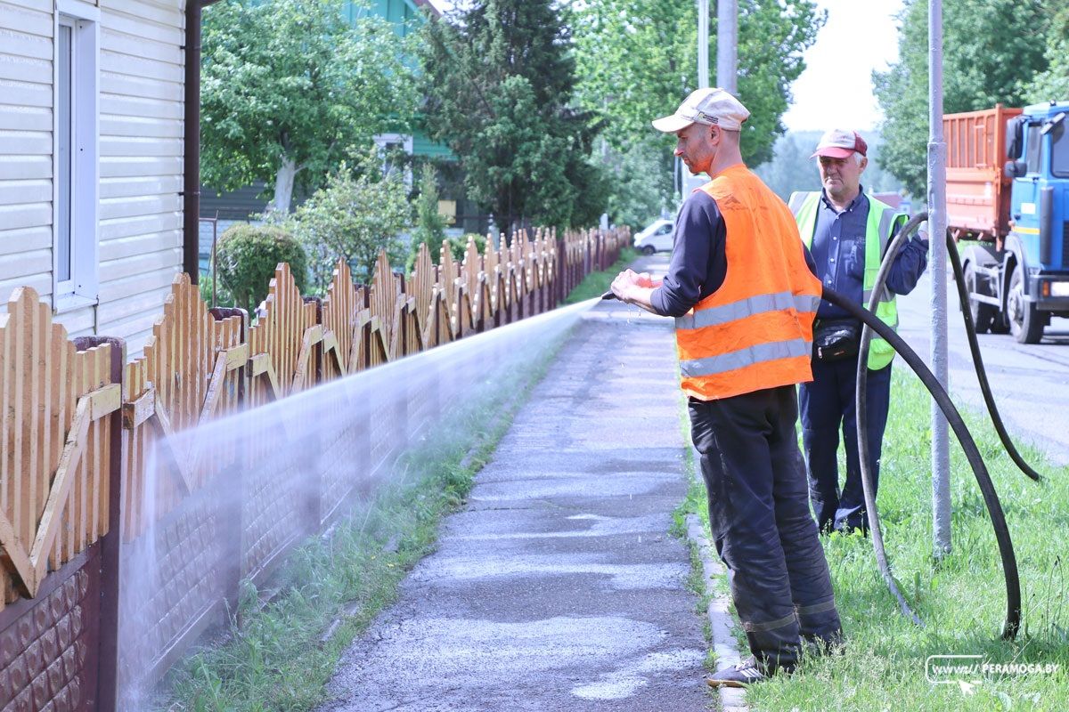 В объективе – «Чистый четверг»