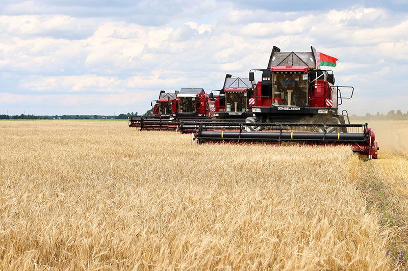 Проверили готовность. И что выявили?