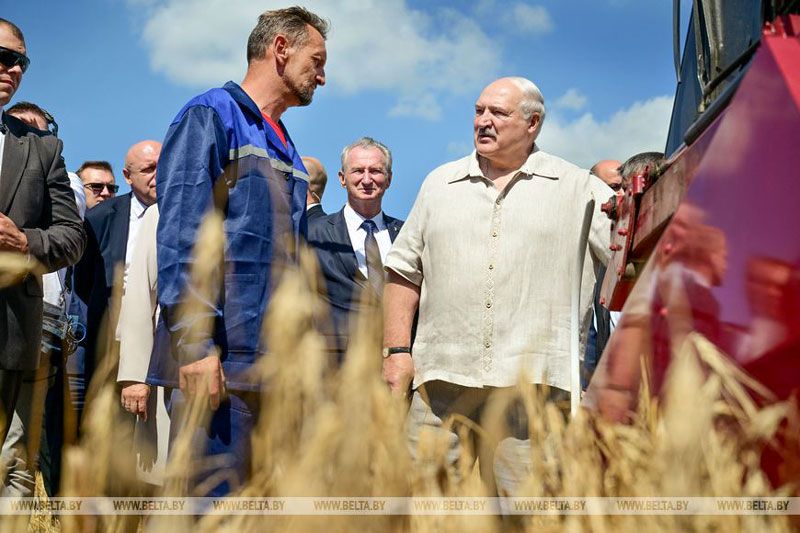 Лукашенко об уборочной кампании: надо ускоряться, чего бы ни стоило